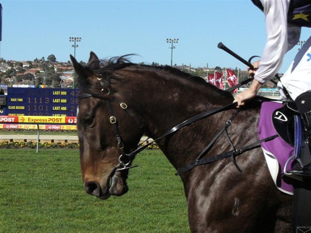 [dan_baroness (Medium)[4].jpg]